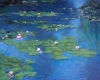 Waterlillies